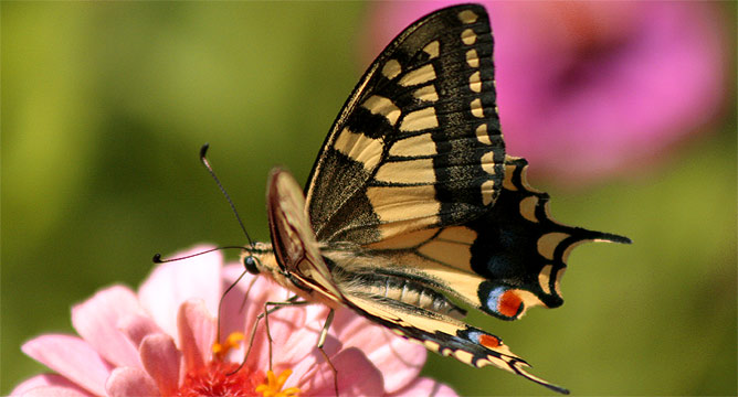 camping, naumburg, bluetengrund