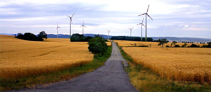 fotos, flora, fauna, th&uuml;ringen, natur, camping, vier jahreszeiten, fr&uuml;hling, sommer, herbst, winter, landschaftsfotos, wald, bilder, naturaufnahmen, naturfotos, fotografie, axel dorr