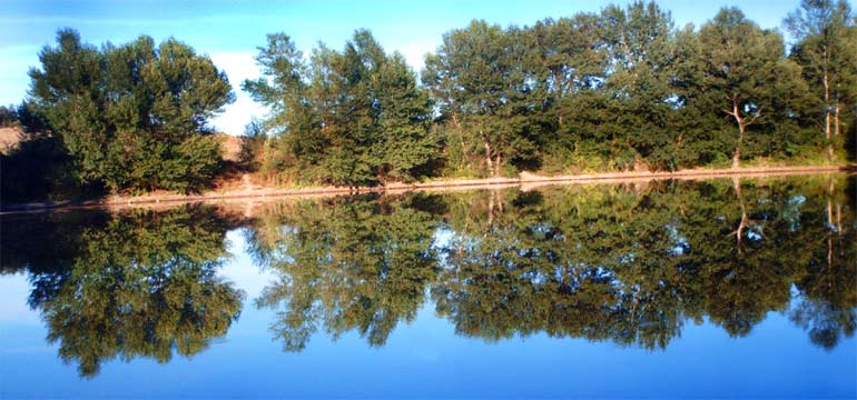 fotos, flora, fauna, natur, camping